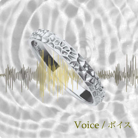 Voice/ボイス